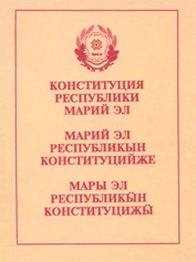Конституция, 1995